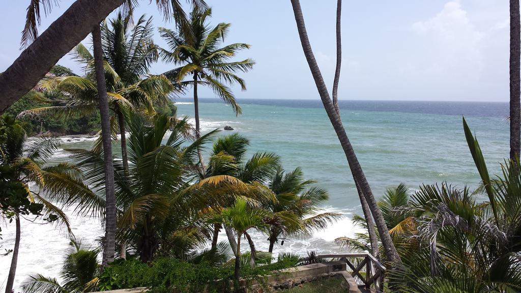 Blue Haven Hotel - Bacolet Bay - Tobago Scarborough Extérieur photo